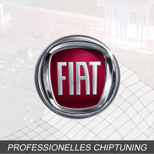 Optimierung - Fiat Palio 1.4 Typ:1 generation [Facelift]...