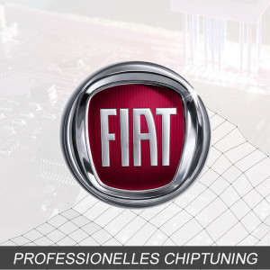 Optimierung - Fiat Multipla 1.6 Typ:2 generation 103PS