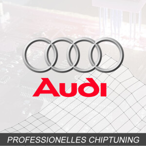 Optimierung - Audi A1 1.6 TDI Typ:8X 105PS