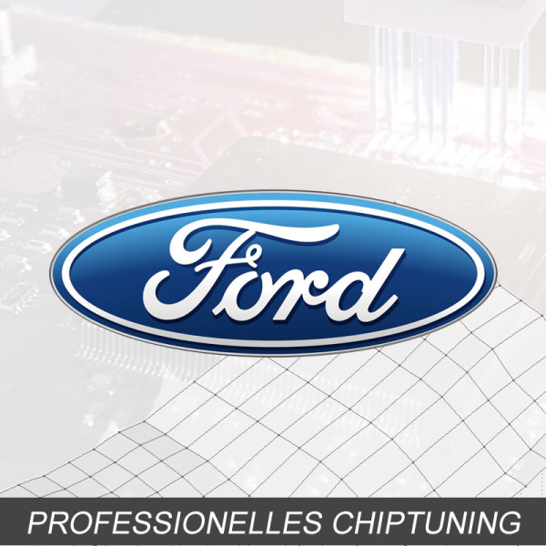 Optimierung - Ford Everest 2.5 Typ:2 generation 118PS