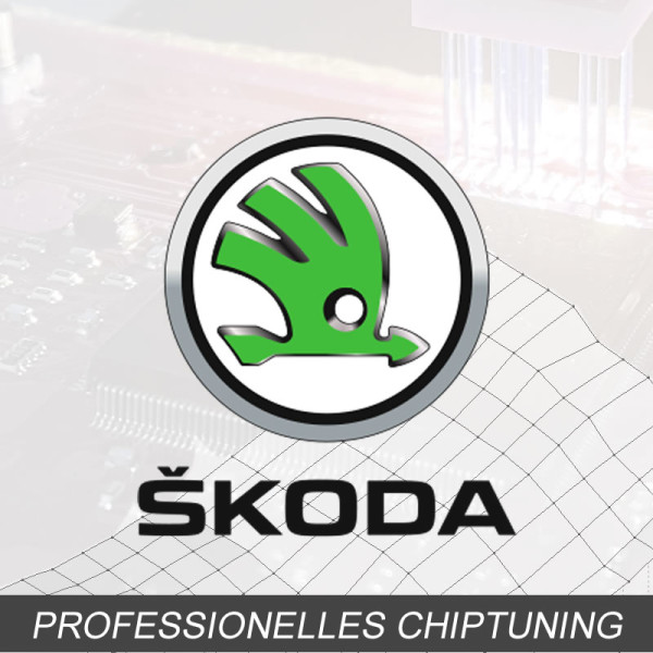 Optimierung - Skoda Octavia 1.4 Typ:4 generation 204PS