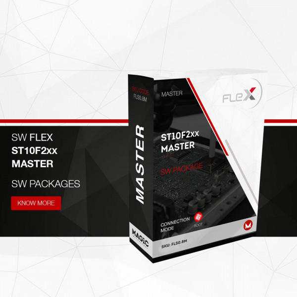 Software Flex ST10F2xx – MASTER