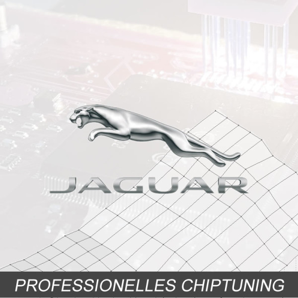 Optimierung - Jaguar F-Pace 2.0 Typ:1 generation 300PS