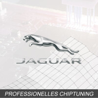 Optimierung - Jaguar F-Type 3.0 Typ:1 generation [2. Facelift] 380PS