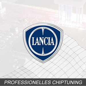 Optimierung - Lancia Ypsilon 1.4 Typ:1 generation 95PS