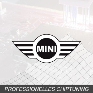 Optimierung - Mini Cooper JCW 1.6 Typ:R50 [Facelift] 210PS