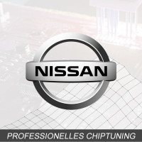 Optimierung - Nissan Caravan 2.0 Typ:E25 120PS