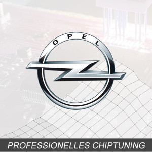 Optimierung - Opel Corsa 1.4 Typ:D 100PS