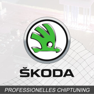 Optimierung - Skoda Roomster 1.2 Typ:1 generation 64PS