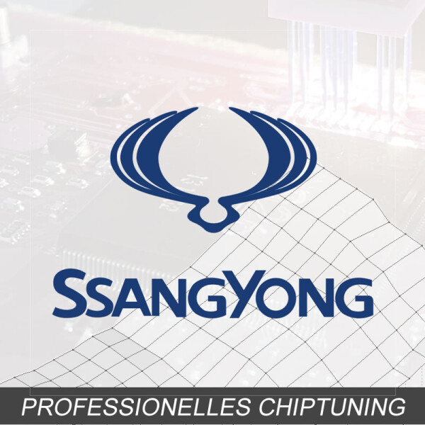 Optimierung - SsangYong Chairman 3.6 Typ:2 generation (W) 250PS