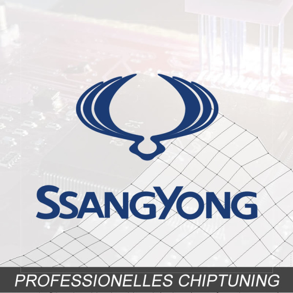 Optimierung - SsangYong Korando 3.2 Typ:2 generation 210PS