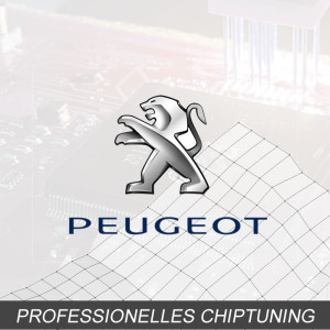 Optimierung - Peugeot 208 1.6 Typ:Peugeot 208 92PS
