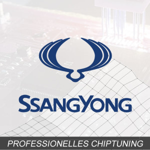 Optimierung - SsangYong Istana 2.9 D Typ:1 generation 95PS
